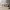 Glass Image Background