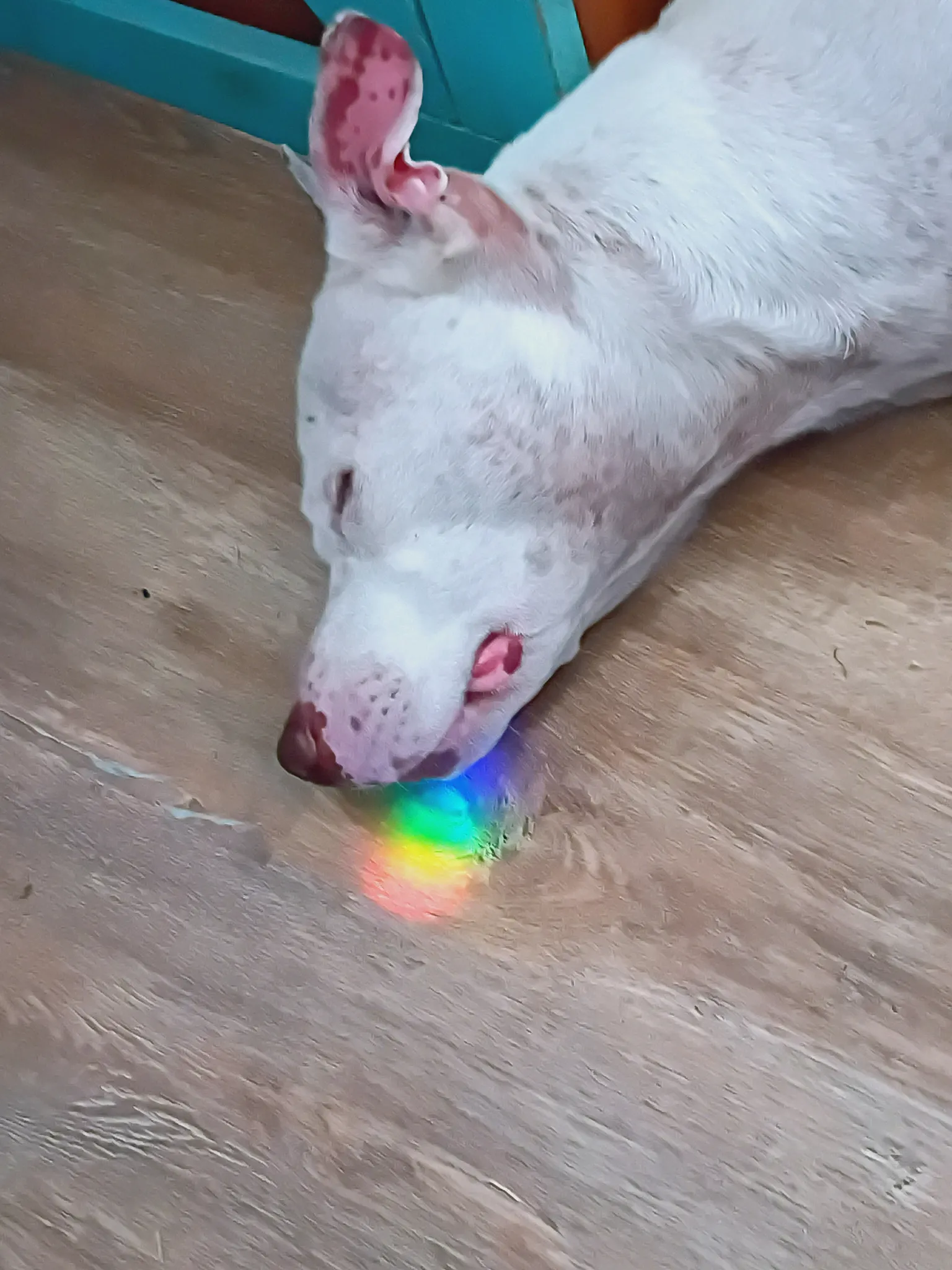 Operation of Deconstruction profile