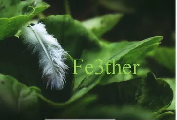 Fe3ther Holistic Wellness  profile