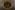 Glass Image Background