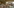 Glass Image Background