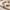 Glass Image Background