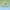 Glass Image Background