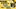 Glass Image Background