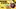 Glass Image Background