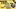 Glass Image Background