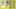 Glass Image Background